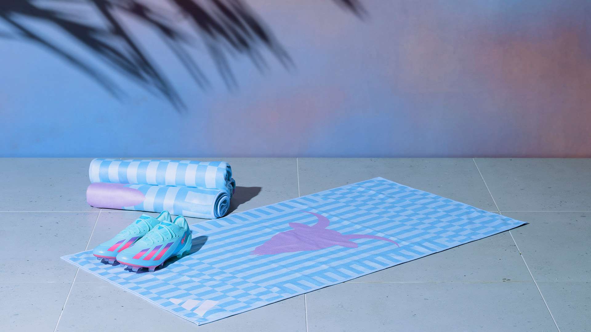 将对其他财 将对其他财